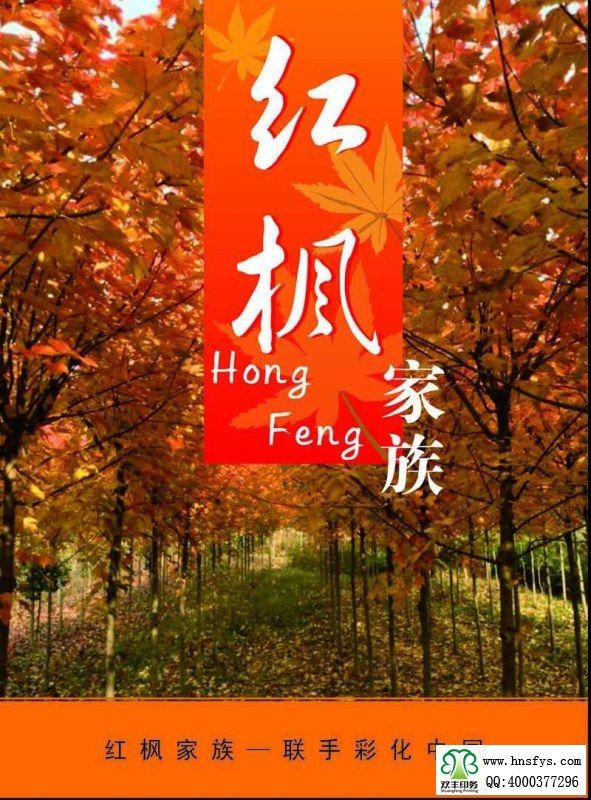 河南印刷廠:紅楓家族 宣傳畫(huà)冊(cè)