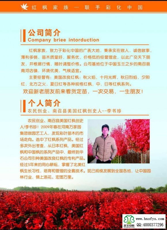 河南印刷廠:紅楓家族 宣傳畫(huà)冊(cè)